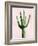 Cactus on Pink III-Mia Jensen-Framed Art Print