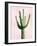 Cactus on Pink III-Mia Jensen-Framed Art Print