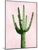 Cactus on Pink III-Mia Jensen-Mounted Art Print