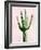 Cactus on Pink III-Mia Jensen-Framed Art Print