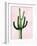 Cactus on Pink IV-Mia Jensen-Framed Art Print