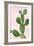 Cactus on Pink VI-Mia Jensen-Framed Art Print