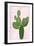 Cactus on Pink VIII-Mia Jensen-Framed Art Print