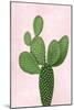 Cactus on Pink VIII-Mia Jensen-Mounted Art Print