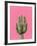 Cactus On Pink-LILA X LOLA-Framed Art Print