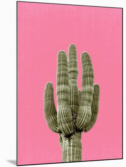 Cactus On Pink-LILA X LOLA-Mounted Art Print