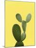 Cactus On Yellow-LILA X LOLA-Mounted Art Print