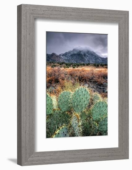 Cactus Overcast-Bob Larson-Framed Giclee Print