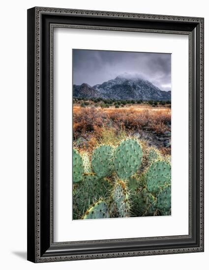 Cactus Overcast-Bob Larson-Framed Giclee Print