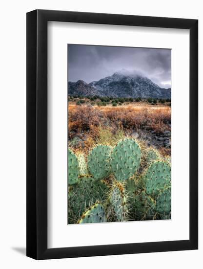 Cactus Overcast-Bob Larson-Framed Giclee Print