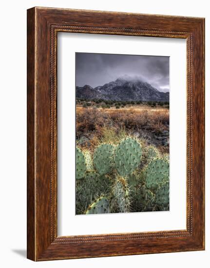 Cactus Overcast-Bob Larson-Framed Art Print