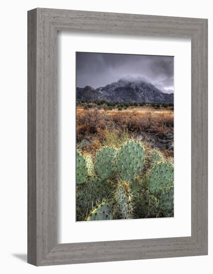 Cactus Overcast-Bob Larson-Framed Art Print