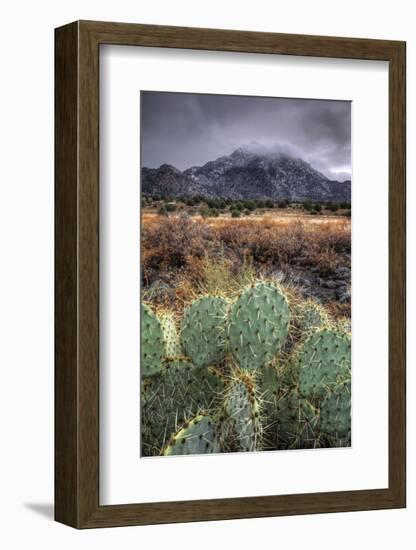 Cactus Overcast-Bob Larson-Framed Art Print