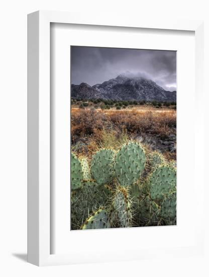 Cactus Overcast-Bob Larson-Framed Art Print