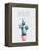 Cactus Pink 1-Kimberly Allen-Framed Stretched Canvas