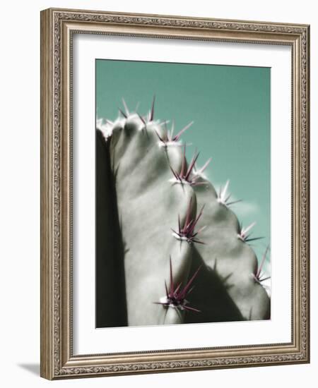 Cactus Pismo-Malcolm Sanders-Framed Giclee Print