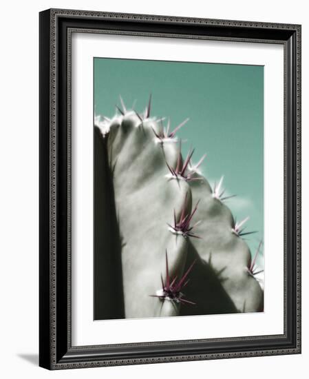 Cactus Pismo-Malcolm Sanders-Framed Giclee Print