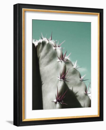 Cactus Pismo-Malcolm Sanders-Framed Giclee Print