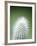 Cactus Plant Spines-Lawrence Lawry-Framed Photographic Print