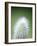 Cactus Plant Spines-Lawrence Lawry-Framed Photographic Print