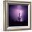 Cactus Silhouetted Against Lightning, Tucson, Arizona, USA-Tony Gervis-Framed Photographic Print