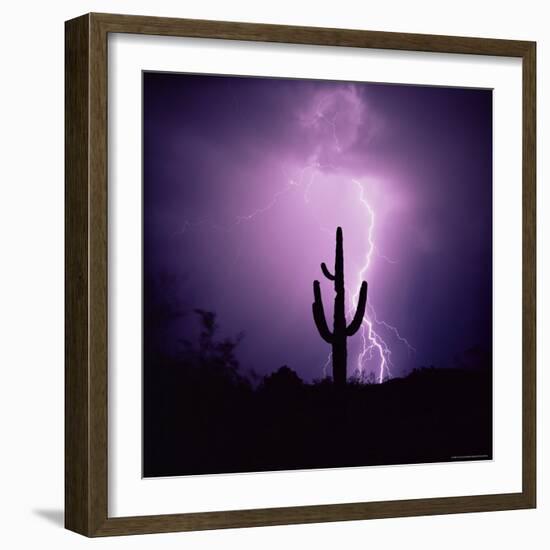 Cactus Silhouetted Against Lightning, Tucson, Arizona, USA-Tony Gervis-Framed Photographic Print