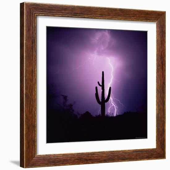 Cactus Silhouetted Against Lightning, Tucson, Arizona, USA-Tony Gervis-Framed Photographic Print