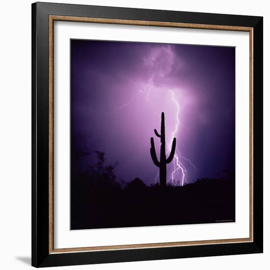 Cactus Silhouetted Against Lightning, Tucson, Arizona, USA-Tony Gervis-Framed Photographic Print