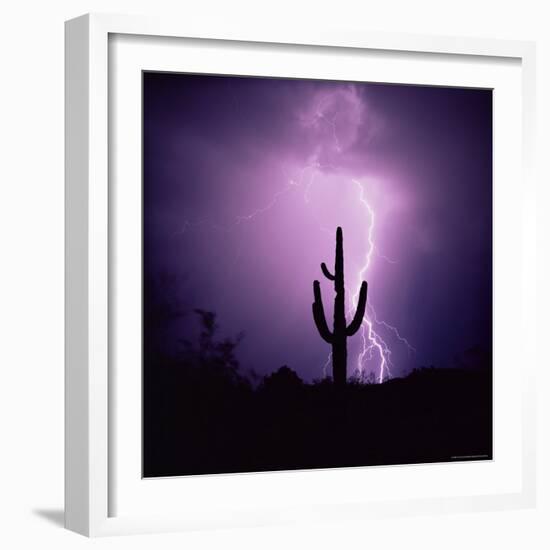 Cactus Silhouetted Against Lightning, Tucson, Arizona, USA-Tony Gervis-Framed Photographic Print