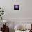 Cactus Silhouetted Against Lightning, Tucson, Arizona, USA-Tony Gervis-Mounted Photographic Print displayed on a wall