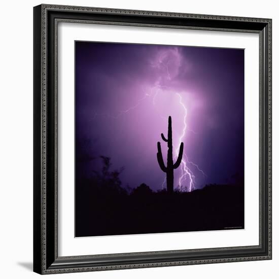 Cactus Silhouetted Against Lightning, Tucson, Arizona, USA-Tony Gervis-Framed Photographic Print