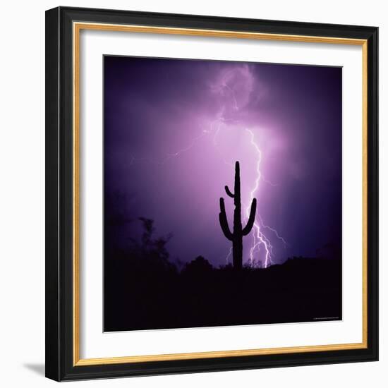 Cactus Silhouetted Against Lightning, Tucson, Arizona, USA-Tony Gervis-Framed Photographic Print