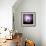 Cactus Silhouetted Against Lightning, Tucson, Arizona, USA-Tony Gervis-Framed Photographic Print displayed on a wall