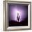 Cactus Silhouetted Against Lightning, Tucson, Arizona, USA-Tony Gervis-Framed Photographic Print