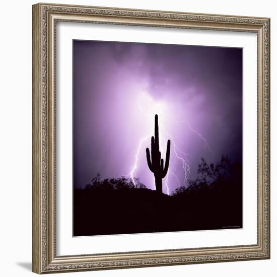 Cactus Silhouetted Against Lightning, Tucson, Arizona, USA-Tony Gervis-Framed Photographic Print