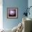 Cactus Silhouetted Against Lightning, Tucson, Arizona, USA-Tony Gervis-Framed Photographic Print displayed on a wall