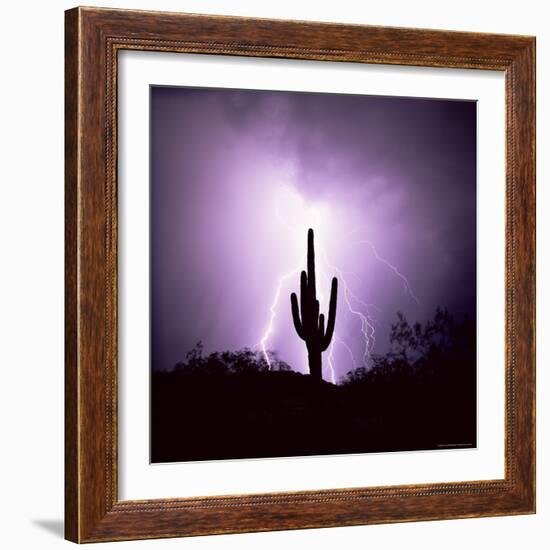 Cactus Silhouetted Against Lightning, Tucson, Arizona, USA-Tony Gervis-Framed Photographic Print