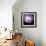 Cactus Silhouetted Against Lightning, Tucson, Arizona, USA-Tony Gervis-Framed Photographic Print displayed on a wall