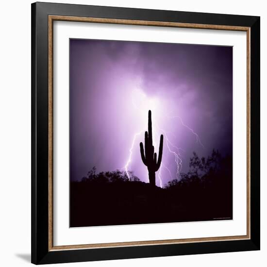 Cactus Silhouetted Against Lightning, Tucson, Arizona, USA-Tony Gervis-Framed Photographic Print