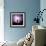 Cactus Silhouetted Against Lightning, Tucson, Arizona, USA-Tony Gervis-Framed Photographic Print displayed on a wall