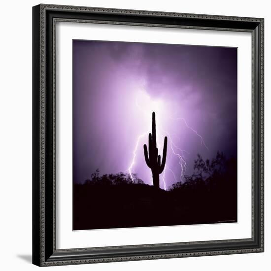 Cactus Silhouetted Against Lightning, Tucson, Arizona, USA-Tony Gervis-Framed Photographic Print