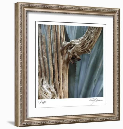 Cactus Skeleton-Ken Bremer-Framed Limited Edition