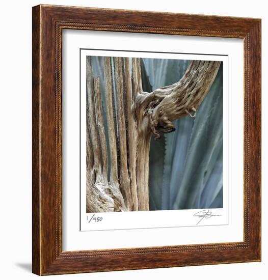 Cactus Skeleton-Ken Bremer-Framed Limited Edition