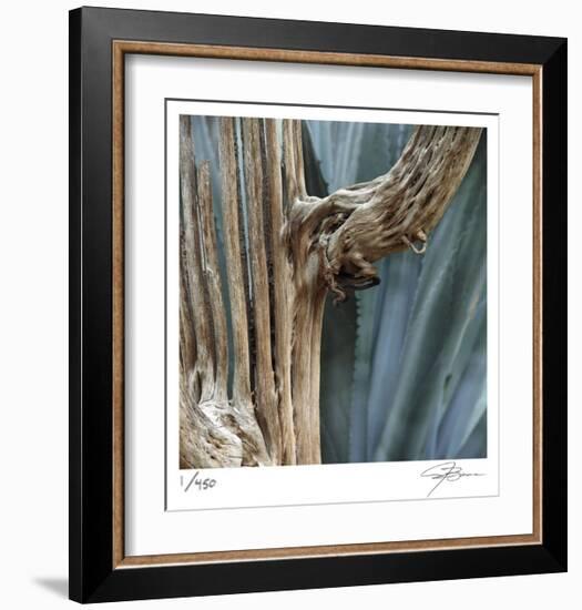 Cactus Skeleton-Ken Bremer-Framed Limited Edition