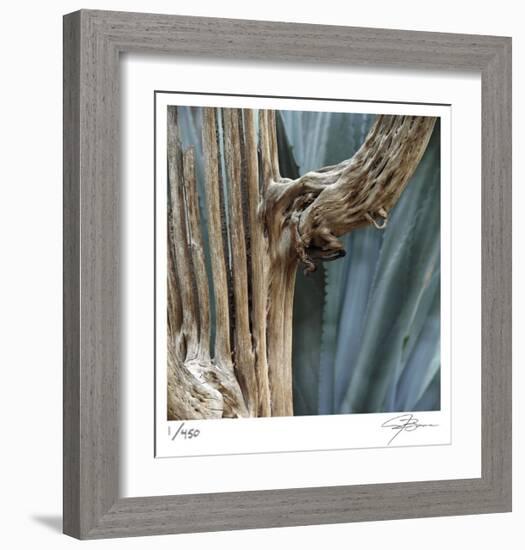 Cactus Skeleton-Ken Bremer-Framed Limited Edition