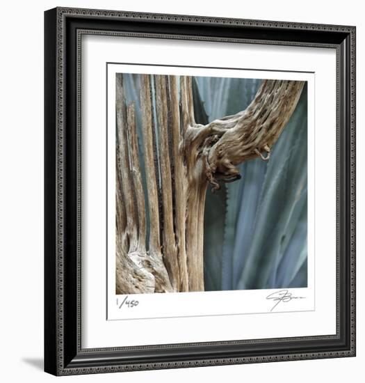 Cactus Skeleton-Ken Bremer-Framed Limited Edition