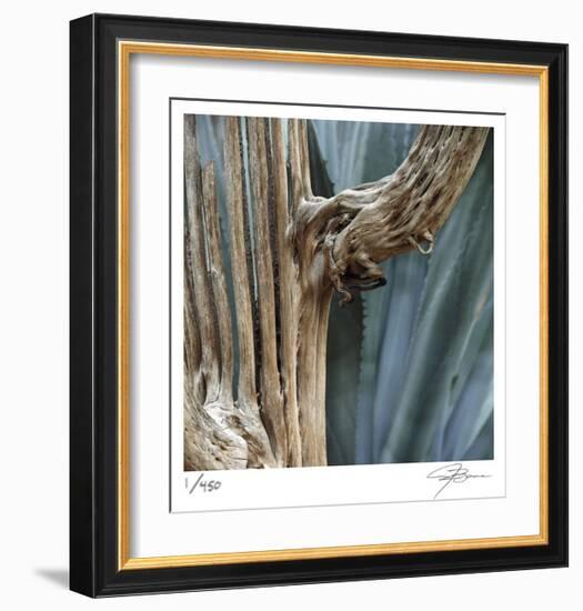 Cactus Skeleton-Ken Bremer-Framed Limited Edition