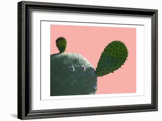 Cactus Slice 1-Sheldon Lewis-Framed Premium Giclee Print