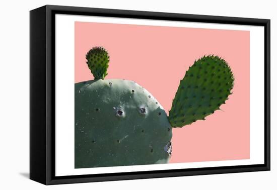 Cactus Slice 1-Sheldon Lewis-Framed Stretched Canvas