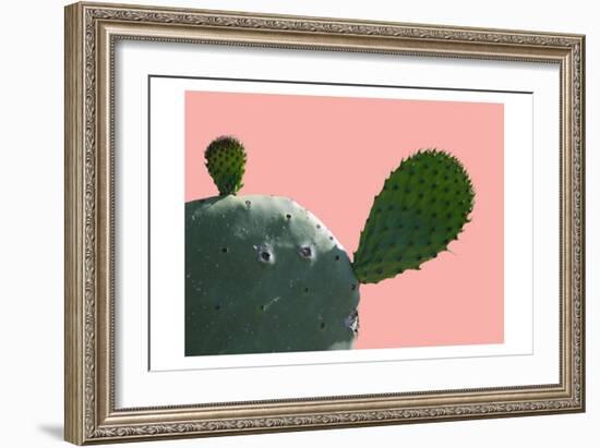 Cactus Slice 1-Sheldon Lewis-Framed Art Print